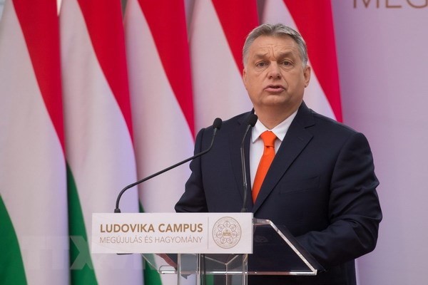 Виктор Орбан объявил о победе правящей коалиции на парламентских выборах в Венгрии - ảnh 1