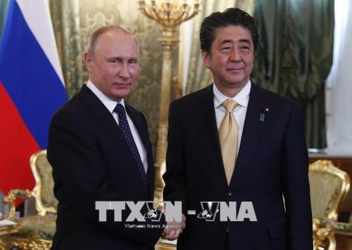 Россия и Япония прилагают усилия для подписания мирного договора - ảnh 1