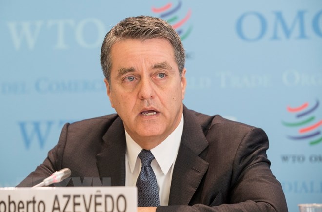 ВТО предупредила о нарастании напряженности в торговых отношениях между США и их союзниками - ảnh 1