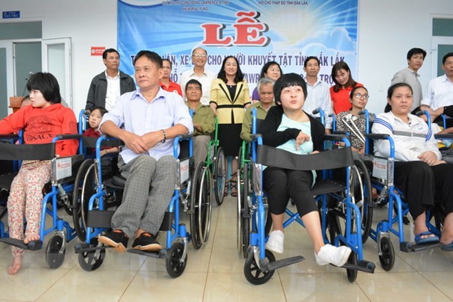 Вьетнам продвигает и обеспечивает права инвалидов - ảnh 1