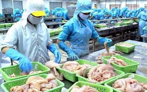 Усилия по отмене «желтой карточки» ЕС в отношении вьетнамских морепродуктов - ảnh 1