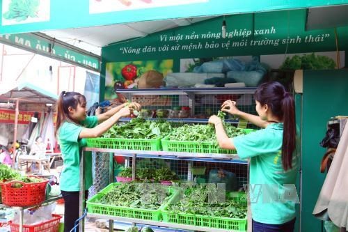Вьетнам поделился опытом в развитии зеленого сельского хозяйства в ЭКОСОС - ảnh 1