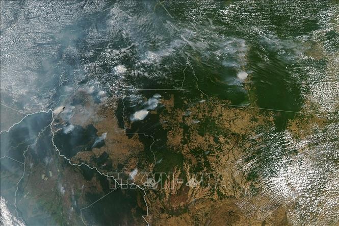Генсек ООН выразил обеспокоенность в связи с пожарами в экваториальных лесах Амазонии - ảnh 1