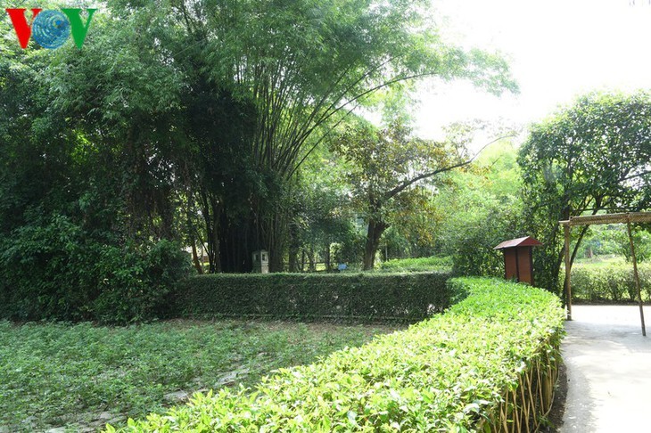 Дом, в котором Президент Хо Ши Мин провел свое отрочество - ảnh 11