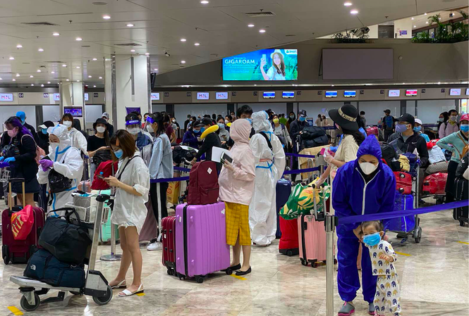 Возвращение более 350 вьетнамских граждан из Японии на Родину - ảnh 1
