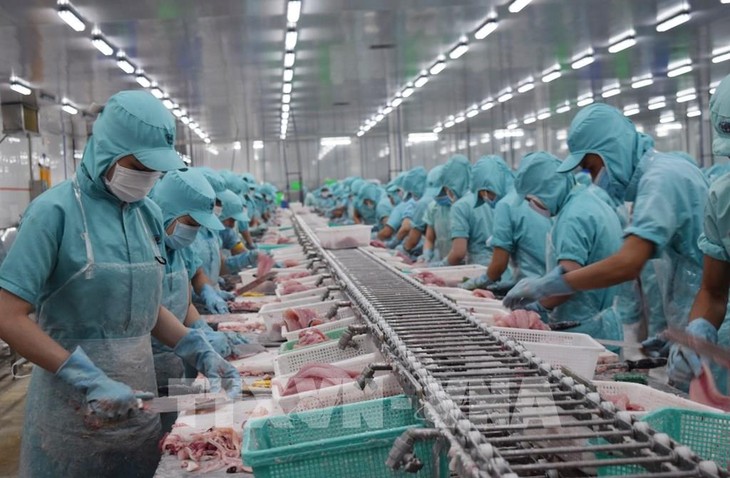Объем экспорта морских продуктов Вьетнама в 2020 году может достичь $8,6 млрд  - ảnh 1