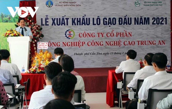 Вьетнам экспортировал первые партии риса в начале года в Малайзию и Сингапур - ảnh 1