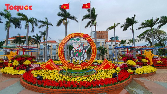 Открылась цветочная весенняя улица в городе Дананге  - ảnh 1