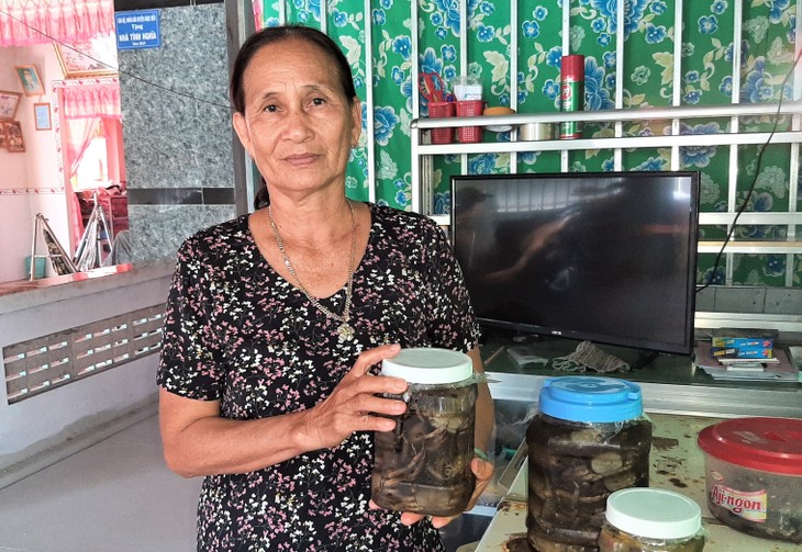 Ремесло по переработке красных мангровых крабов – объект национального наследия в провинции Камау - ảnh 2