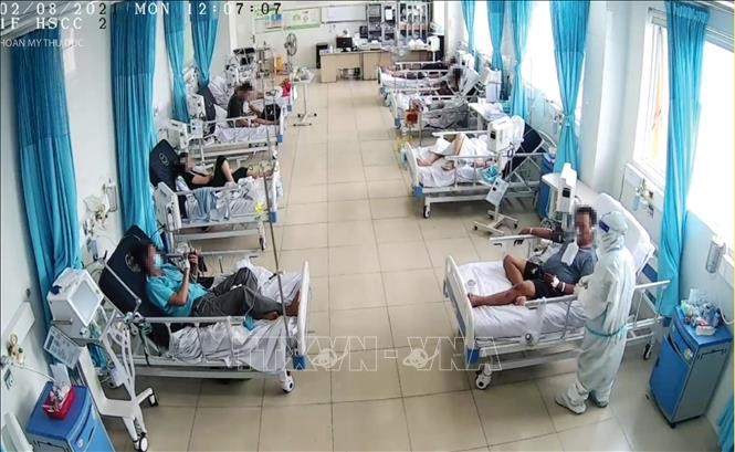 Утром 7 августа во Вьетнаме зафиксировано 3 794 новых зараженных коронавирусом - ảnh 1