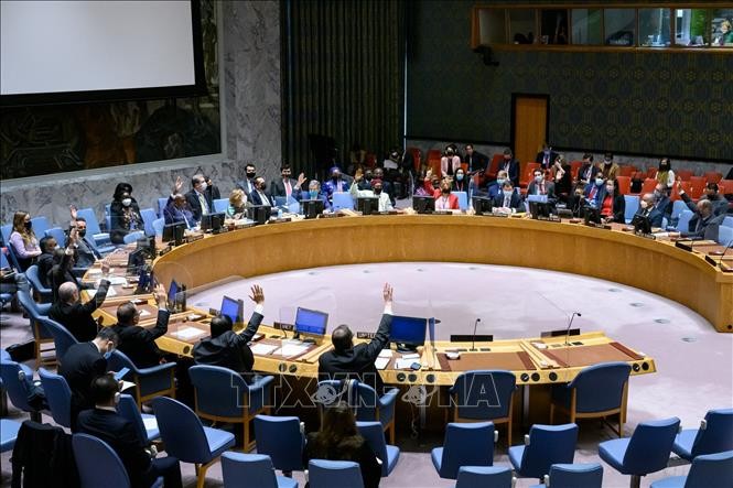 Совбез принял резолюции о продлении миссии ООН в Западной Сахаре и Колумбии и о защите образования в условиях конфликта - ảnh 1