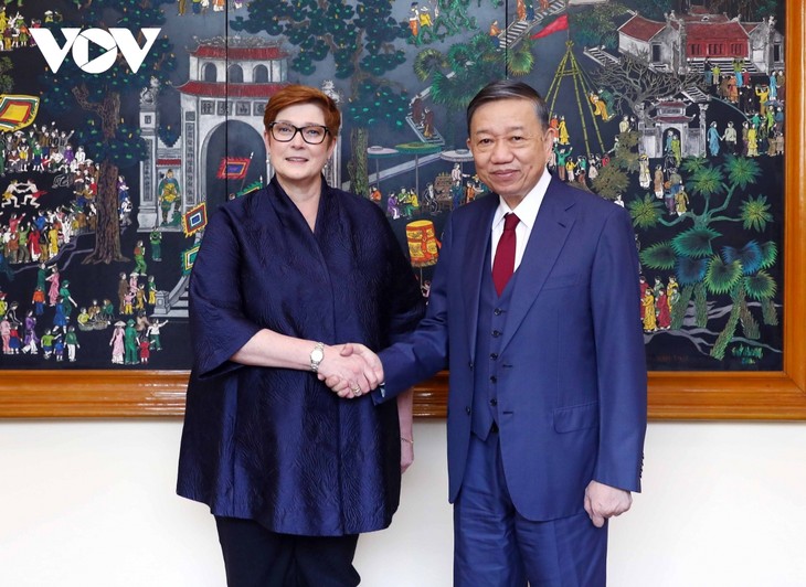 Министр общественной безопасности Вьетнама принял министра иностранных дел Австралии  - ảnh 1