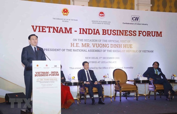 Прошел вьетнамо-индийский бизнес-форум  - ảnh 1
