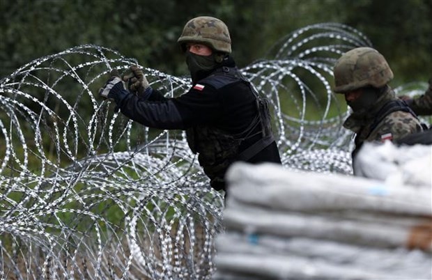Польша начала строительство стены на границе с Беларусью - ảnh 1