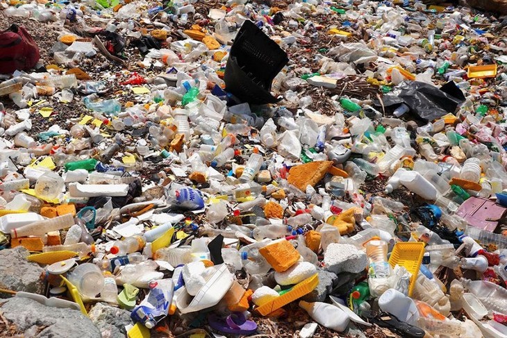 Организация Объединенных Наций продвигает глобальное соглашение о  загрязнении пластиковыми отходами. - ảnh 1