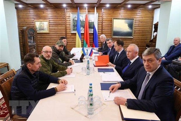 РФ желает вести более активные и содержательные переговоры с Украиной - ảnh 1