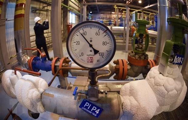 Россия по-прежнему поставляет газ в Европу - ảnh 1