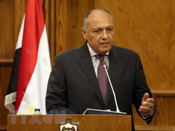 Лига арабских государств ищет дипломатическое решение украинского кризиса - ảnh 1