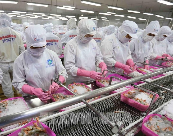 Экспорт морепродуктов Вьетнама продолжает расти - ảnh 1