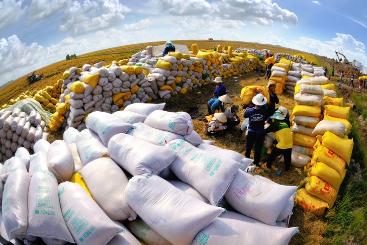 Вьетнам продвигает экспорт продовольствия на мировой рынок - ảnh 1