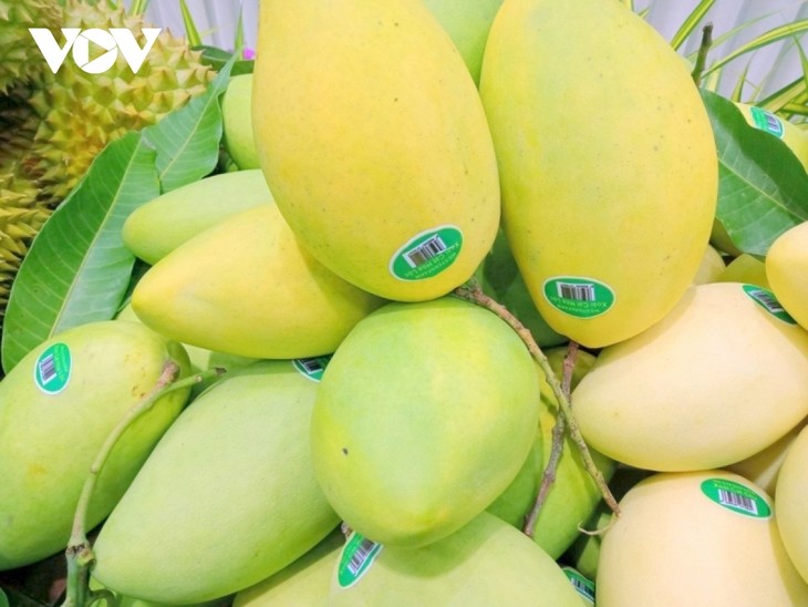 Киензянг прилагает усилия для внедрения инноваций в цепочки создания стоимости риса и манго - ảnh 2