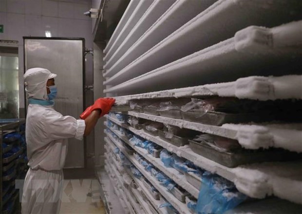 Вьетнам предложил ЕС рассмотреть вопрос о финансировании 5 умных холодильных хранилищ в дельте реки Меконг  - ảnh 1
