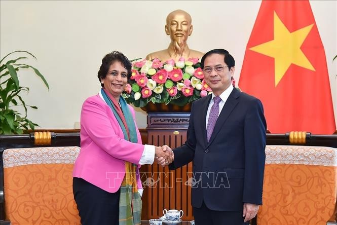 Министр иностранных дел Вьетнама Буй Тхань Шон принял регионального директора ПРООН по Азии - ảnh 1