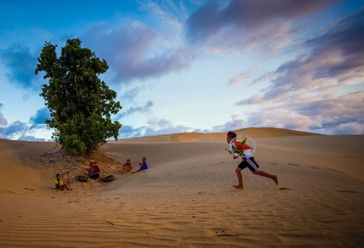 Красота песчаных дюн в южной провинции Ниньтхуан - ảnh 10