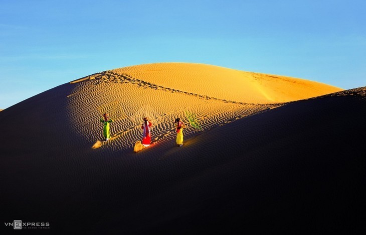 Красота песчаных дюн в южной провинции Ниньтхуан - ảnh 6