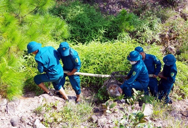 Фонд RENEW призывает к пожертвованиям на обезвреживание мин во Вьетнаме - ảnh 1
