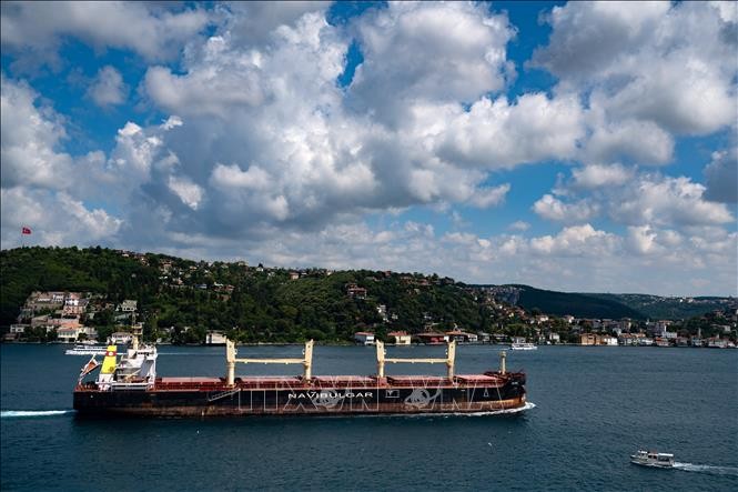 ООН оптимистично оценивает возможность продления соглашения об экспорте зерна через Черное море  - ảnh 1