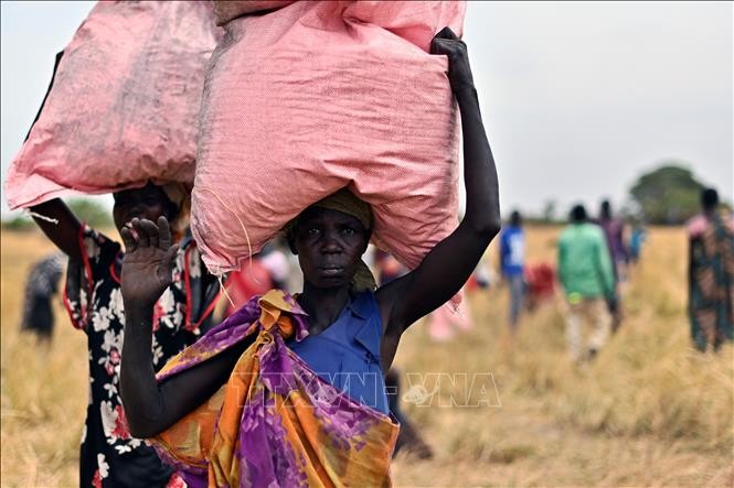 9,4 миллиона жителей Южного Судана нуждаются в помощи в 2023 году - ảnh 1