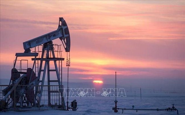 ЕС не может прийти к консенсусу по потолку цен на нефть из России - ảnh 1