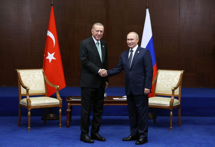 Россия и Турция желают увеличить энергетические проекты - ảnh 1
