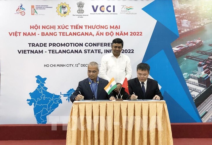 Индия проводит политику поощрения и привлечения вьетнамских инвесторов - ảnh 1