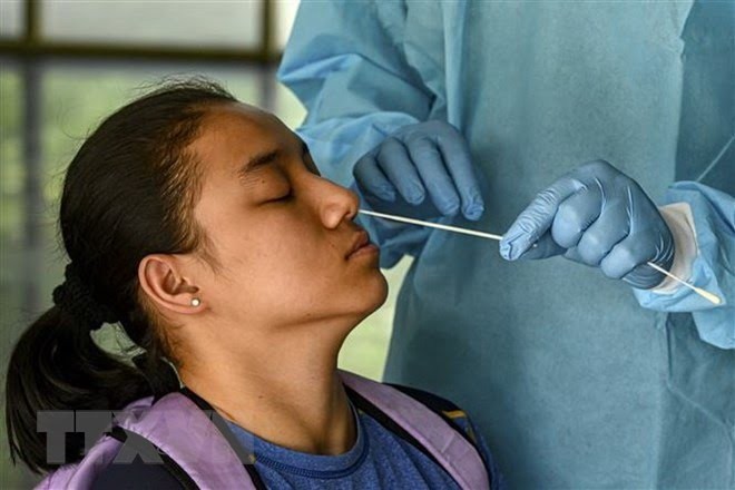 В Индии проводят тестирование на коронавирус пассажиров из некоторых стран - ảnh 1