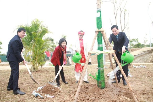 Во Вьетнаме началась новогодняя кампания посадки деревьев  - ảnh 1