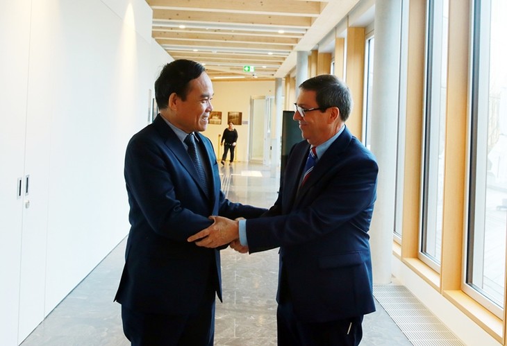 Вице-премьер Чан Лыу Куанг провел встречи с лидерами стран и международных организаций - ảnh 1