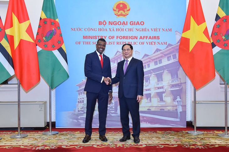 Активизация отношений сотрудничества между Вьетнамом и Доминикой - ảnh 1
