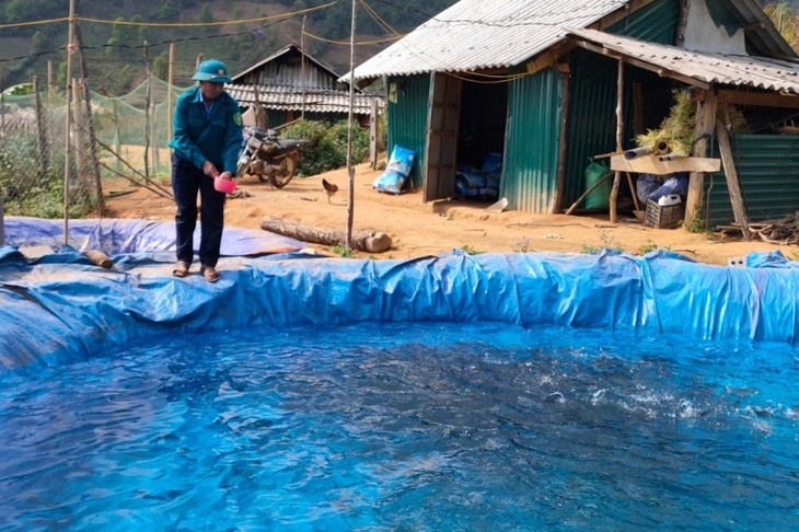 В уезде Тамдыонг провинции Лайтяу развивают холодноводное рыбоводство - ảnh 1