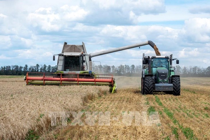 ЕС готовит компенсации для европейских фермеров в связи с импортом зерна из Украины - ảnh 1