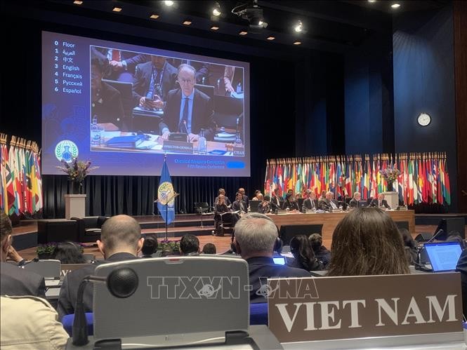 Вьетнам принял участие в конференции, посвященной пятилетнему обзору осуществления Конвенции о запрещении химического оружия - ảnh 1