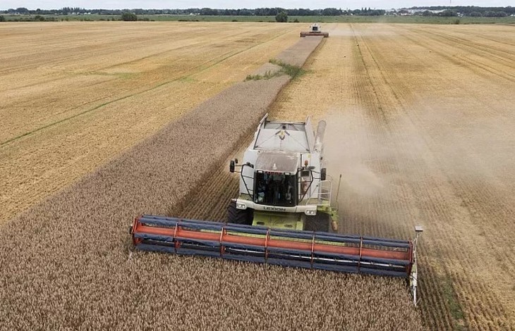 Евросоюз продлил запрет на импорт украинского зерна до середины сентября  - ảnh 1