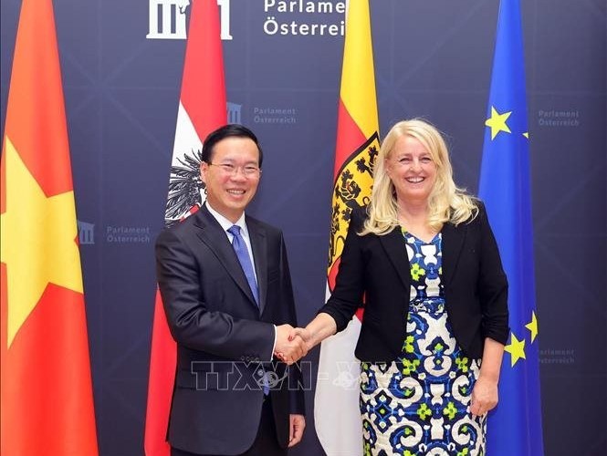 Укрепление межпарламентского сотрудничества между Вьетнамом и Австрией - ảnh 1