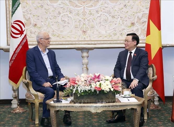 Председатель НС Выонг Динь Хюэ встретился с президентом Общества иранско-вьетнамской дружбы и представителями вьетнамской общины в Иране  - ảnh 1