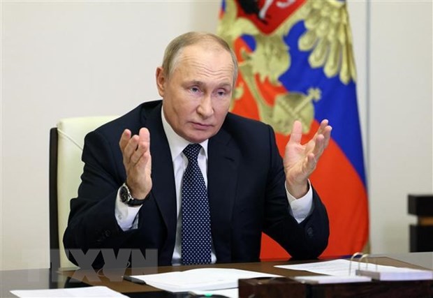 Президент России Владимир Путин не примет участия в саммите G20 - ảnh 1