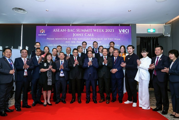 Премьер-министр Фам Минь Тинь принял руководителей Торгово-промышленной палаты Индонезии - ảnh 2