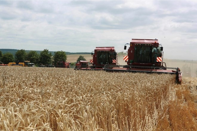 Украина планирует подать в суд на Польшу, Венгрию и Словакию в связи с запретом на импорт сельскохозяйственной продукции - ảnh 1