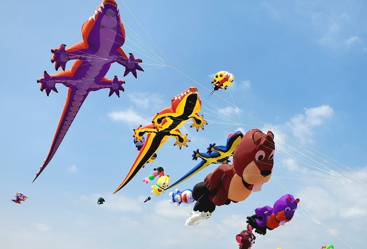 Состоится фестиваль воздушных змеев, на котором будет установлен рекорд Гиннесса по изготовлению самого большого воздушного змея во Вьетнаме - ảnh 2