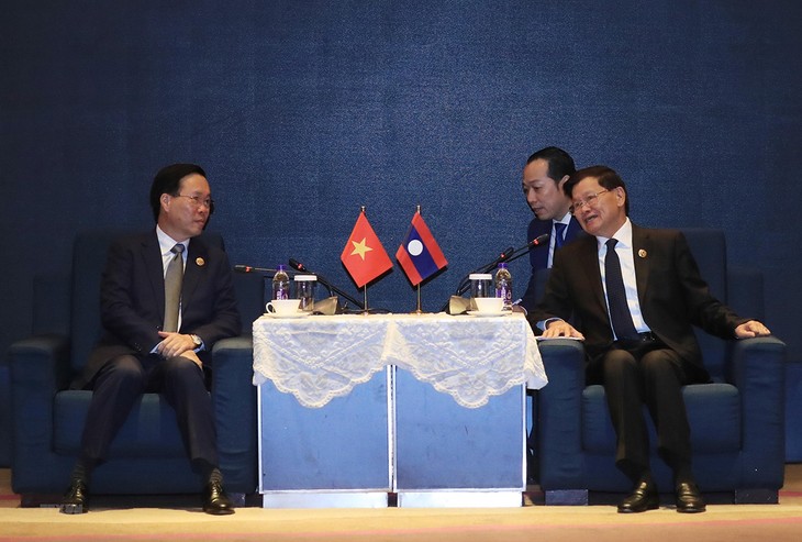 Усилия по развитию отношений всеобъемлющего сотрудничества между Вьетнамом и Лаосом - ảnh 1